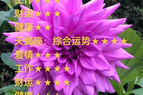 天秤座今日运势星座屋2025年3月24日