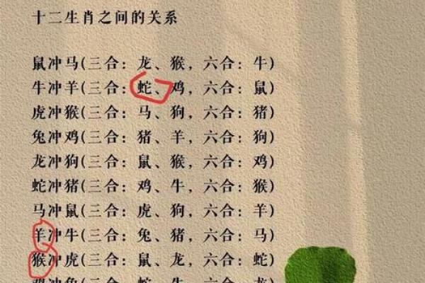 避其锐气是什么生肖(避其锐气是什么生肖数字)