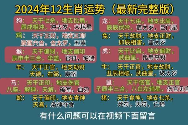 前途无量是什么生肖(前途无量是什么生肖出来好一肖)