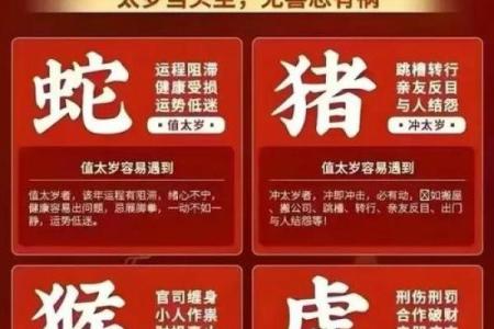 一八梅花二度开指什么生肖(一八梅花二度开指什么生肖动物)