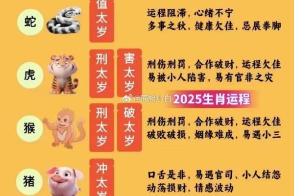 后院起火是什么生肖(后院起火是什么生肖动物)