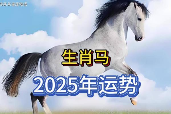 属马的人2025年的运势及运程_2025属马人运势详解全年运程财运健康全解析