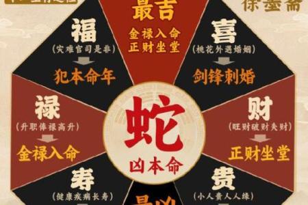 1977年属蛇2025年运势完整版_77年属蛇48岁大劫