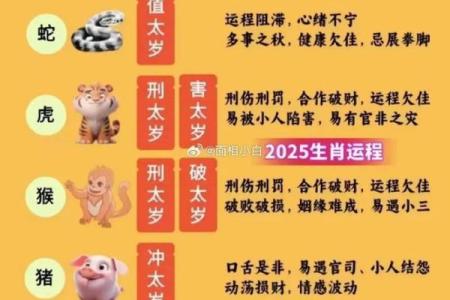 后院起火是什么生肖(后院起火是什么生肖动物)