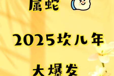 2025年属蛇是什么命五行属什么 2025乙巳蛇年运势详解属蛇人命格五行属性揭秘