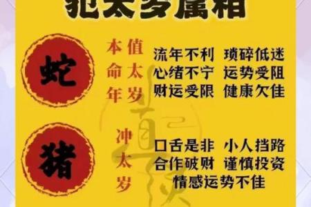 属龙2025年多少岁 今年属龙的运气怎么样1988年的