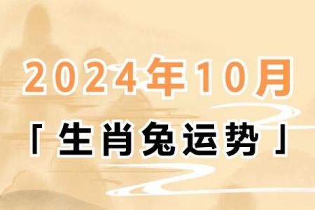 属兔人今年能动土吗(属兔人今年可以建房吗)