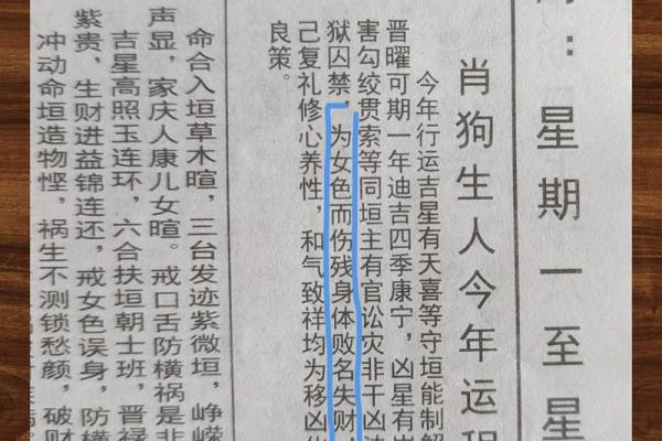 处女座属狗2025年运势 处女座属狗2025年运势解析事业财运爱情全预测