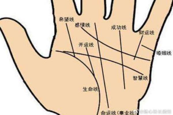 姻缘线怎么看 姻缘线怎么看手相解析姻缘运势全攻略