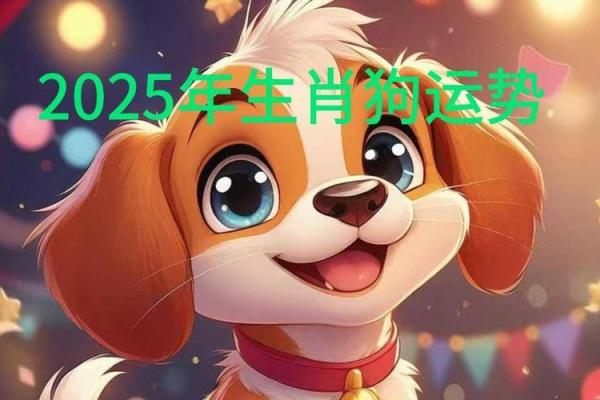 06年属狗2025年运势 06年属狗2025年运势及运程详解