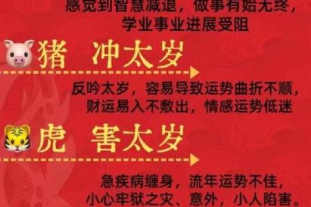 周而复始打一正确生肖(周而复始打一最佳生肖)