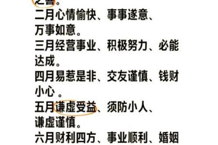 1995年属猪人2023年运势详解财运事业感情全解析
