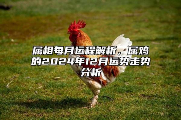 1969属鸡55岁以后运气 1969年属鸡55岁后运势解析未来运程如何