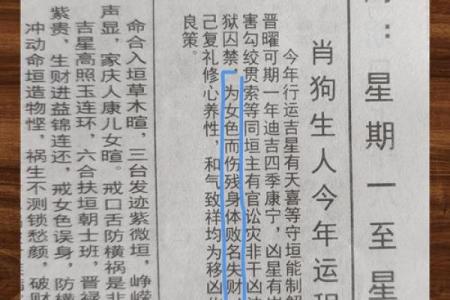 属狗的2025运势_94年属狗的2025运势