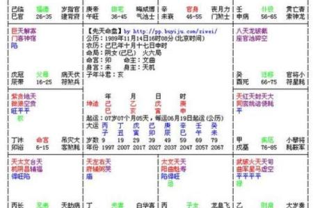 2025年3月1日丑时男命紫微斗数全解盘