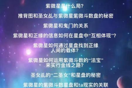 2025年3月23日寅时男命紫微斗数全解盘