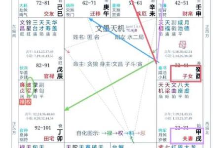 2025年3月23日丑时女命紫微斗数全解盘
