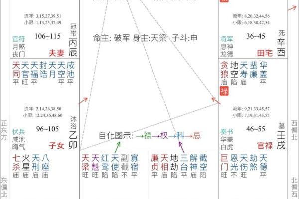 2025年3月25日丑时女命紫微斗数全解盘