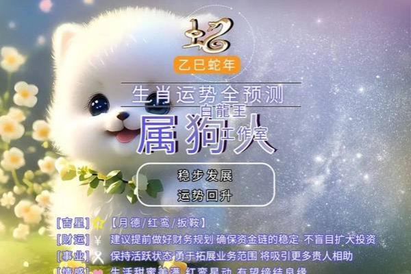 属狗的2025年多大年龄_2025年属狗的人多大年龄详细解析