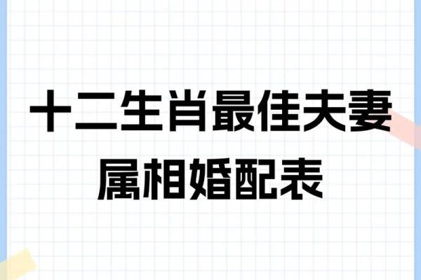 属兔的最佳婚配属相女_87兔女命中注定的丈夫