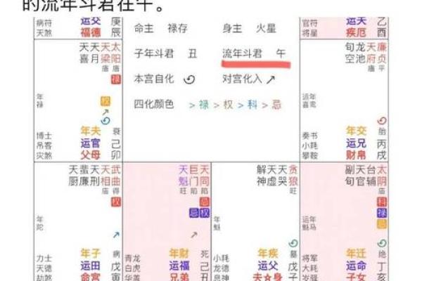 2025年2月17日丑时女命紫微斗数全解盘