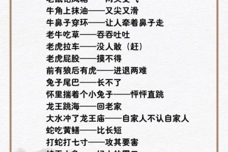 七来七往打一生肖(7来7往是什么生肖)