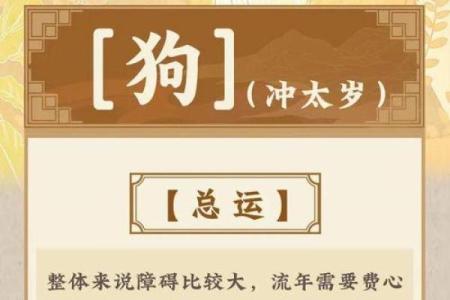 2025年属狗的全年运势_2025年属狗全年运势详解财运事业感情全面解析
