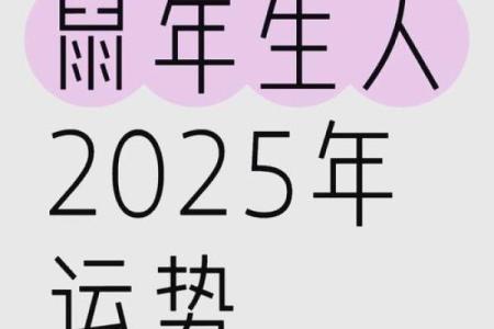 属猪2025颜色最旺最吉利_2025年属鼠的颜色什么最吉利