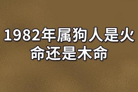 1982年属狗是什么命_1982年属狗命运解析运势性格与未来展望