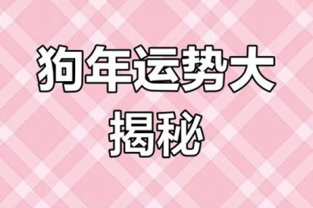 属狗2025年多大了_属狗人2025