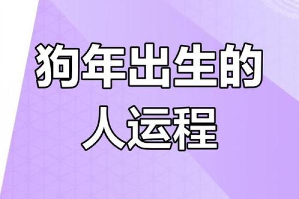 属狗人2025年全年运势及运程 2025年属狗人全年运势详解运程大揭秘