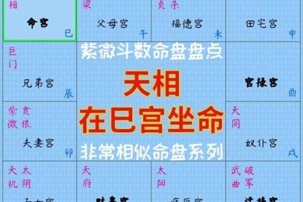2025年3月20日丑时女命紫微斗数全解盘