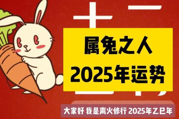 1999年女兔八字姻缘_99年属兔女最佳丈夫