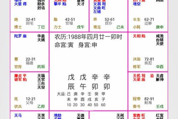 2025年2月16日寅时男命紫微斗数全解盘