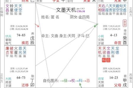 2025年3月30日丑时女命紫微斗数全解盘