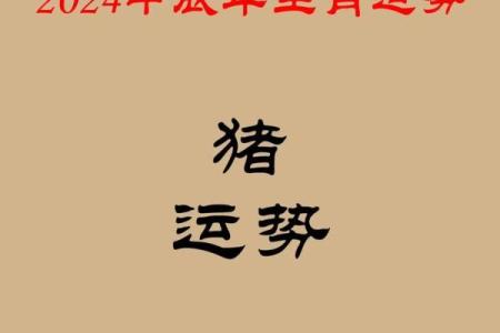 属猪女2025年运势_属猪女2025年运势及运程详解