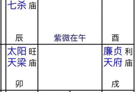 2025年2月16日寅时女命紫微斗数全解盘