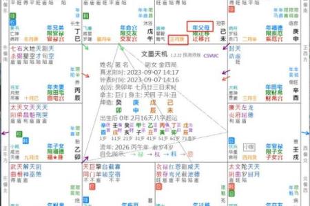 2025年3月19日子时男命紫微斗数全解盘