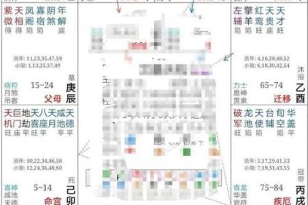 2025年3月27日寅时女命紫微斗数全解盘
