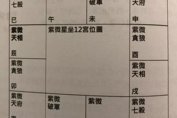 2025年3月1日子时男命紫微斗数全解盘