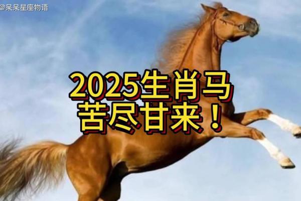 2025年属马人全年运势 2025年属马人全年运势2002