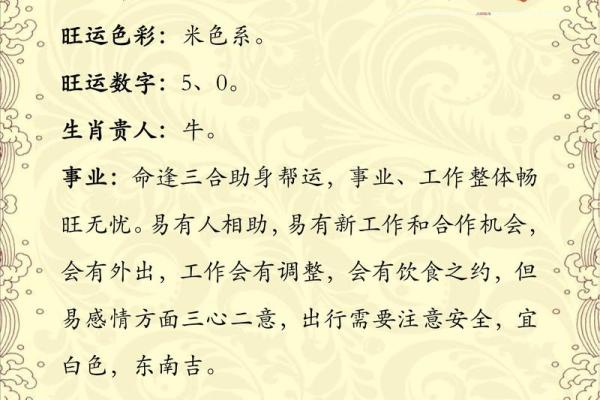 2025年属鸡人运势解析财运与运气全揭秘
