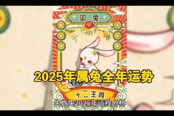 属兔在2025年的运势怎么样 全年 2025年属兔全年运势详解财运事业感情全面解析