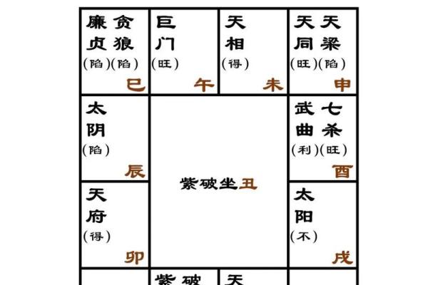 2025年2月15日寅时男命紫微斗数全解盘