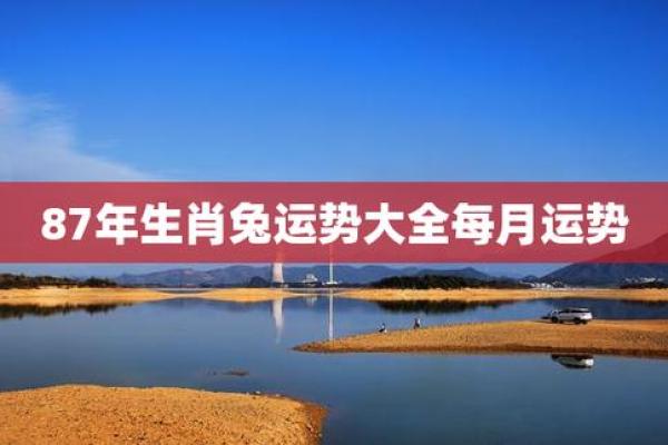 1987年属兔2024年每月运势详解全年运程完整版