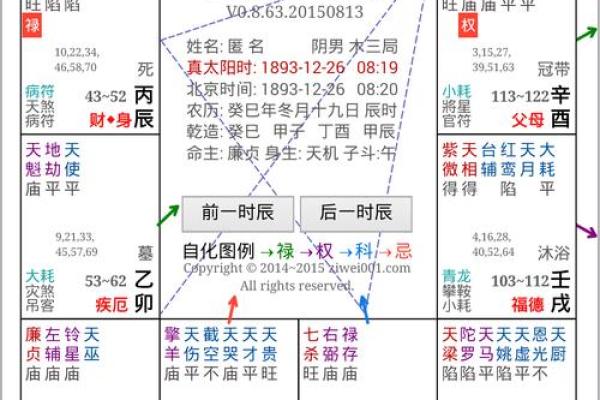 2025年2月16日卯时男命紫微斗数全解盘