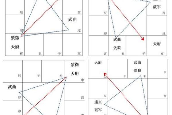 2025年3月2日丑时男命紫微斗数全解盘