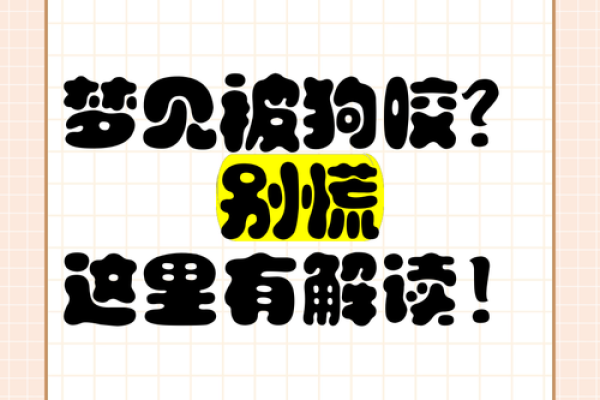 梦见被狗咬了