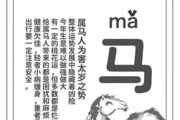 54年属马人2024年运势及运程详解 54年属马人2024年运势全解逐月运程详析指南