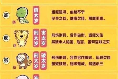 穿针走线打一正确生肖